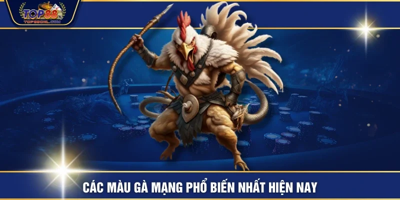 Các màu gà mạng phổ biến nhất hiện nay