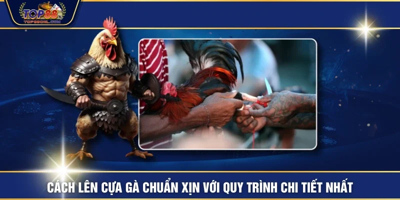 Cách lên cựa gà chuẩn xịn với quy trình chi tiết nhất