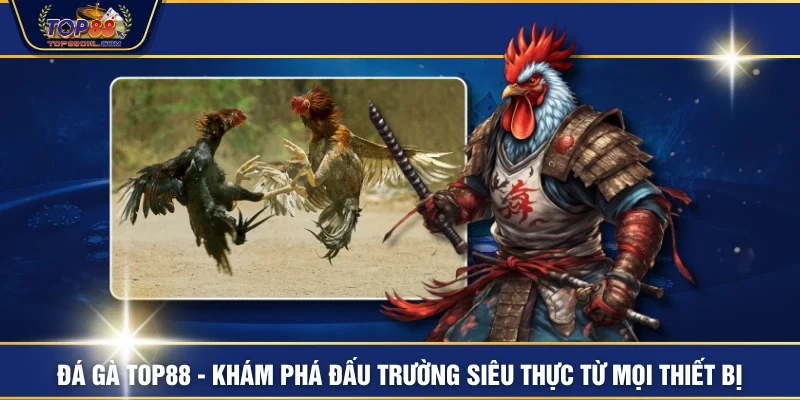 Đá Gà TOP88 - Khám Phá Đấu Trường Siêu Thực Từ Mọi Thiết Bị