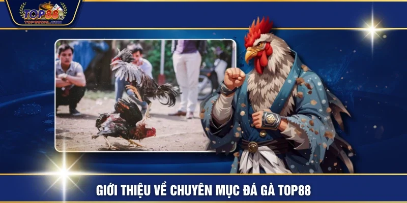 Giới thiệu về chuyên mục đá gà TOP88