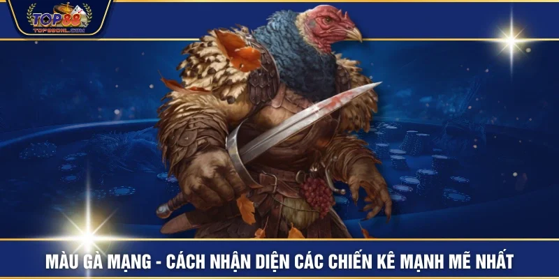 Màu Gà Mạng - Cách Nhận Diện Các Chiến Kê Mạnh Mẽ Nhất