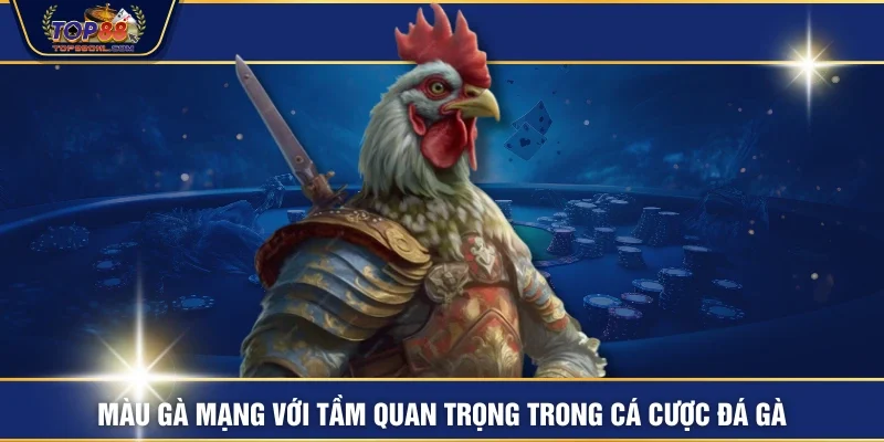 Màu gà mạng với tầm quan trọng trong cá cược đá gà