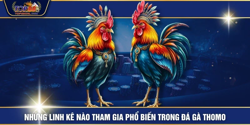 Những linh kê nào tham gia phổ biến trong đá gà thomo