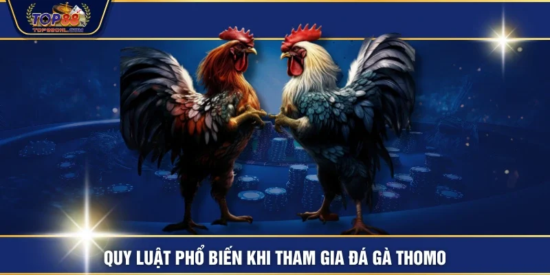 Quy luật phổ biến khi tham gia đá gà thomo